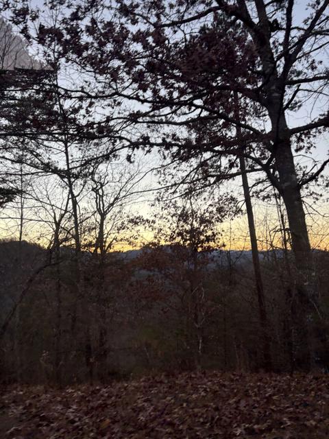 Site Work photo from the Ridgetop Refuge cabin build, November 23, 2025