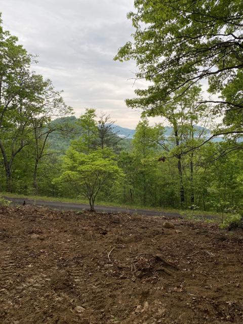 Land Clearing photo from the Ridgetop Refuge cabin build, May 3, 2024