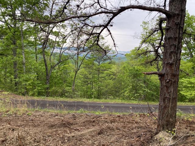 Land Clearing photo from the Ridgetop Refuge cabin build, May 3, 2024