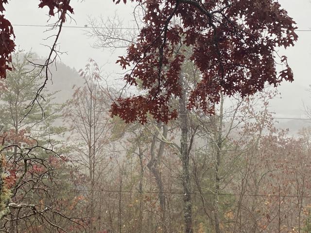 Land Clearing photo from the Ridgetop Refuge cabin build, November 11, 2022