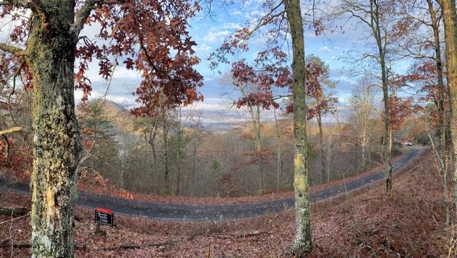 Land Clearing photo from the Ridgetop Refuge cabin build, November 12, 2022