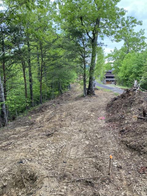 Land Clearing photo from the Ridgetop Refuge cabin build, May 3, 2024