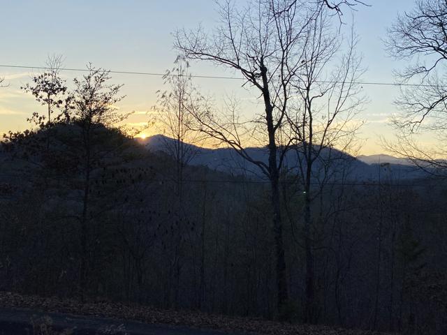 Land Clearing photo from the Ridgetop Refuge cabin build, December 22, 2023